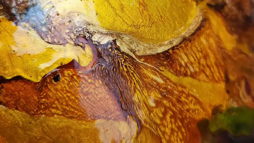 Lumières et Couleurs 7