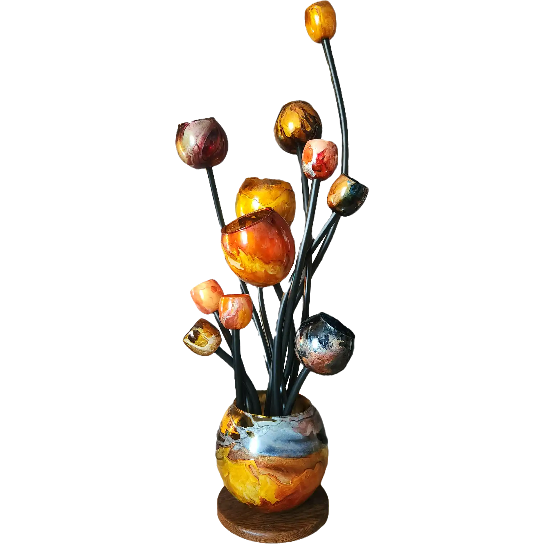 Ascension® 12 Multicolore noir Orange bleu