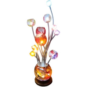 Ascension® 12 Orange Rose Multicolore