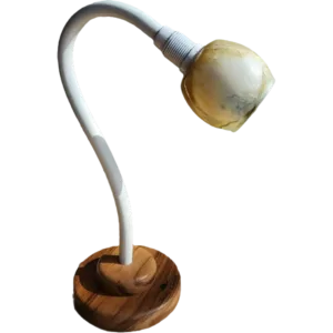 Ascension® Micro Lumières et Couleurs